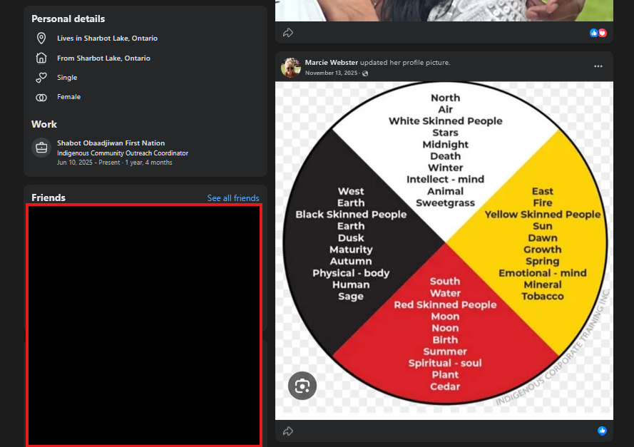 Four skin colours, four natures: this chart is racist
